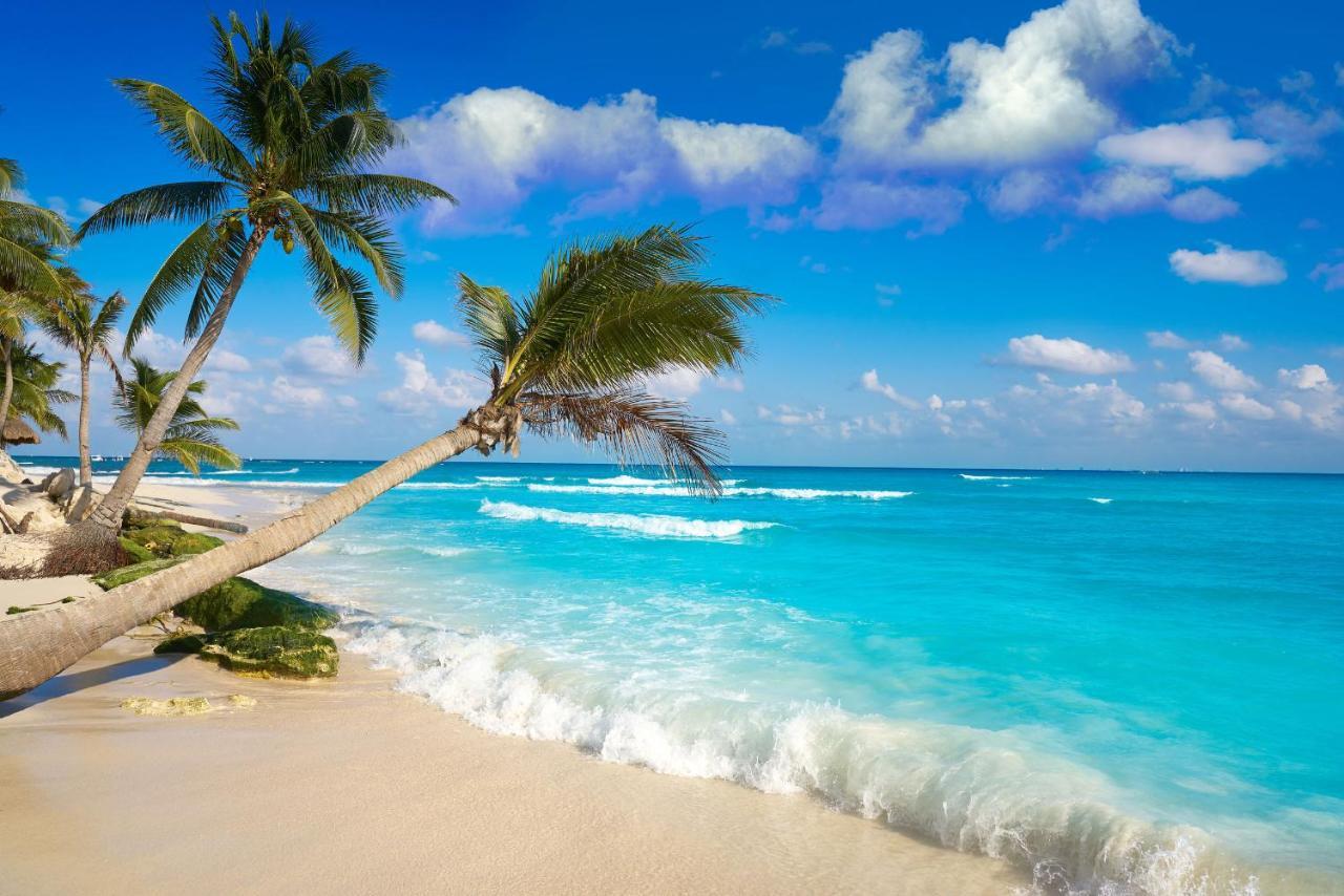 Moonshine Hotel Playa del Carmen Luaran gambar